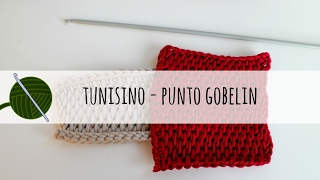 Tutorial uncinetto tunisino – punto Gobelin [upl. by Beattie]