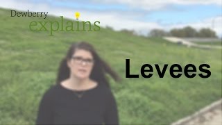 What Are Levees [upl. by Randy]