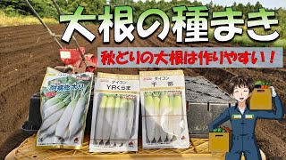 【大根の種まき】今年は３品種作るけど、今回の秋どり大根はいつもの品種で。 [upl. by Walcott804]