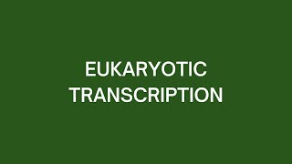 Eukaryotic Transcription [upl. by Hillel]