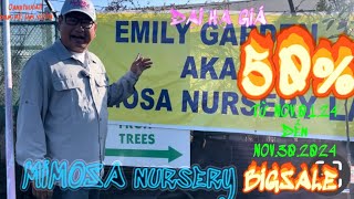 🤩🎁 MIMOSA Nursery BIG SALE 50 💐👍 [upl. by Thedric]