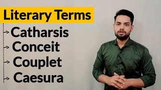 Literary Terms and Devices in hindi Catharsis Conceit Couplet Caesura [upl. by Sucramraj928]