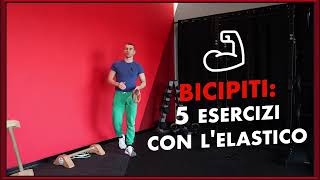 5 Esercizi di Bicipiti con gli elastici in casa [upl. by Inaffit55]