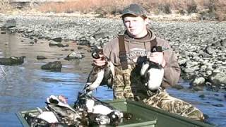 Columbia River Diver Duck Hunting [upl. by Thema926]