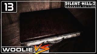 Suspicious COINTELPRO Briefcase  Silent Hill 2 13 [upl. by Proudman]