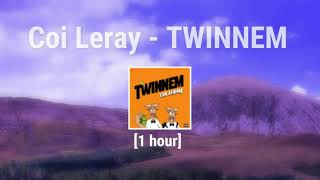 1 hour Coi Leray  TWINNEM [upl. by Netram102]