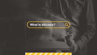 What is silicosis Professor Malcolm Sim [upl. by Verdi]