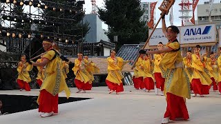 幡多舞人 第71回よさこい祭り2024 高知城会場 811日 よさこい踊り [upl. by Chick]