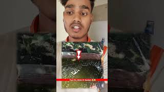 Pani Me Quran ki Ayat Likha Hai 😱🥰 Allah ki Qudrat Dekho 😱 shorts [upl. by Nedarb]