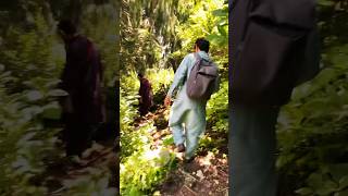 Dangerous Trick Baleja Meadows Mountains shortvideo pakistan mountains trick lovers new [upl. by Docila912]