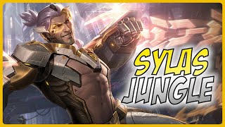 3 Minute Sylas Guide  A Guide for League of Legends [upl. by Noelani]