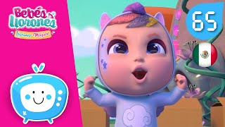 🦄 AVENTURAS A LO GRANDE 🦄 ESPAÑOL LATINO BEBÉS LLORONES 💧 LÁGRIMAS MÁGICAS 💕 PARA NIÑOS [upl. by Aneras]