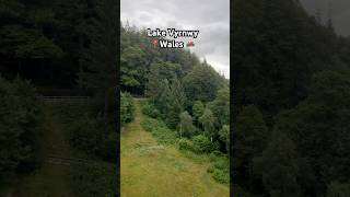 Lake Vyrnwy  forest relaxing music landscape nature birdsong youtube shorts short wales [upl. by Enelram416]