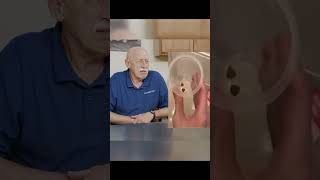 Dr Pol Reacts  Cats Ear Massage amp Pups Diet Drama 🐱🐶 DrPol VetReacts funnyanimalsvideo [upl. by Ahset]