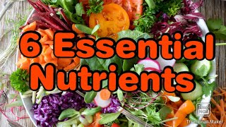 6 Essential Nutrients [upl. by Chiquia]