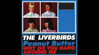 THE LIVERBIRDS quotPEANUT BUTTERquot 1965 BALANCED STEREO REMIX [upl. by Eppilihp385]