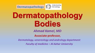 Dermatopathology Bodies [upl. by Nathalia69]