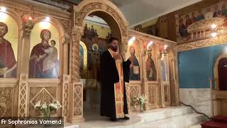 Bible Study with Fr Sophronios  an Introduction to How to Study The Bible the Orthodox Way [upl. by Melgar]