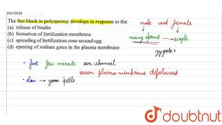 The fast block to polyspermy develop in ressponse to the [upl. by Rock]