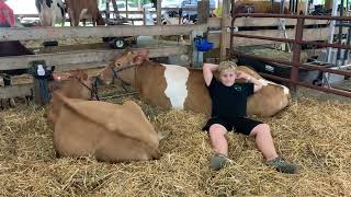 Schuylkill County Fair 4HFFA Animals 2023 [upl. by Mcgurn]