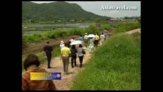 Shrimp Farm Thailand by Asiatravelcom [upl. by Dupuis]