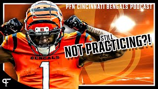 Bengals vs Patriots Preview the Latest on JaMarr Chases HoldIn [upl. by Gorman]