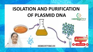 Plasmid DNA Isolation।Alkaline lysis method । Heredity Biosciences [upl. by Jemena681]