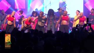 Koffi Olomide performs Micko Live at The Koroga Festival [upl. by Nilyarg96]