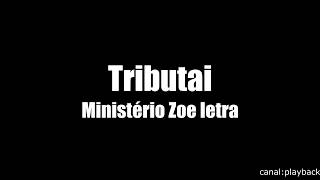 Ministério Zoe Tributai Letra [upl. by Felicle37]