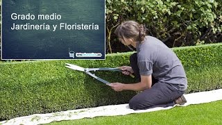 Grado Medio Jardinería y Floristería FP LOE [upl. by Atnovart]