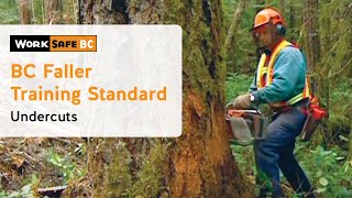 BC Faller Training Standard  Undercuts 8 of 17 [upl. by Negah]