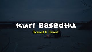 Satarangi Fula Jhai Kuri Basechu  Slowed amp Reverb  Samir Shrestha X Sabal Dev Shrestha [upl. by Qifahs198]