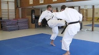 KARATE  Tiger Karate  Shotokan and mix of martial arts [upl. by Nauht]