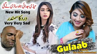 Mur ve Mahiya  Pichan Mur Vy Dhola  Gulaab Official Video  Tahir Mehmood Nayyer Song  gulaab [upl. by Ahtebat]