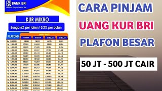 CARA PENGAJUAN PINJAMAN KREDIT KUR BANK BRI 2024  LENGKAP CARA PENGAJUAN DAN SYARAT KUR BRI [upl. by Macario]