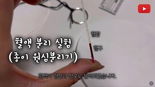 친절한 과학쌤 혈액 분리 실험종이 원심분리기 [upl. by Ahsia]