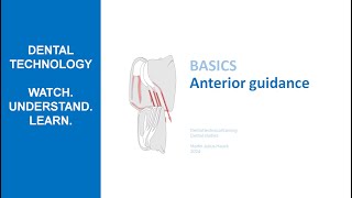 Anterior Guidance  How anteriors guide lower jaw movements [upl. by Kevan]