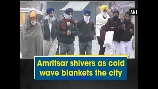 Amritsar shivers as cold wave blankets the city  Punjab News [upl. by Hercule]