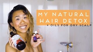 My Natural Hair Detox  essential oils for dry scalpdandruff [upl. by Daniala]