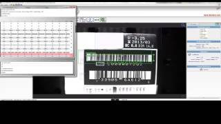 Microscan AutoVISION Label Inspection and Verification [upl. by Garbers]