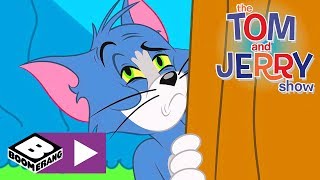 Tom i Jerry Show  Jajka na śniadanie  Cartoonito [upl. by Auqinihs]