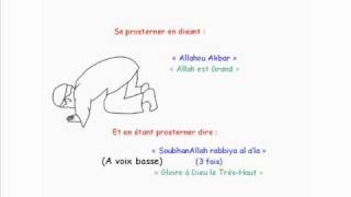 Apprendre La Prière Salat El Dohr  2ème prière de la journée [upl. by Saffier]