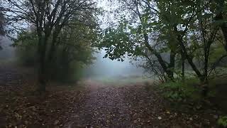 POV PROMENADEHIKINGFrance Bourgogne Combe à la serpent 3 [upl. by Elnore886]