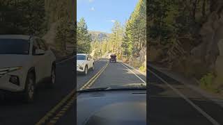 MODEL T DRIVING THRU YOSEMITE VALLEY HWY 120 WEST [upl. by Gertrud]