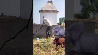 yarr Tera hero khalnayak hogya Ghar me SE nikla animals magic video wall crake vfx funny ❤️🙏 [upl. by Aleciram659]