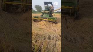 John Deere combine harvester paddy cultivation in modern way harvester driving machine paddy [upl. by Kimon]