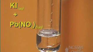 Double Displacement Lead Nitrate and Potassium Iodide [upl. by Cherin732]