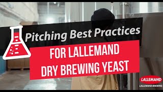 Pitching Best Practices for Lallemand Dry Brewing Yeast [upl. by Cirederf]