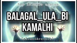 BALAGAL ULA BHI KAMALIHI  BY ALI ZAFAR   SlowReverb [upl. by Uel452]