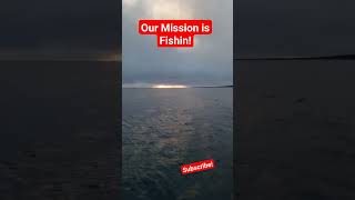 Black Cod fishing in the Bering Sea fishing shortvideo sea shorts alaska [upl. by Luar]